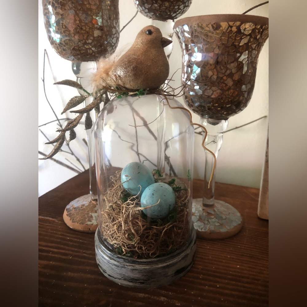 Plastic Cloche With Faux Nest